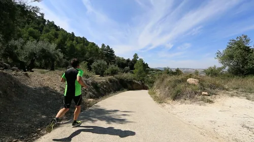 Vista 6 de Paseos virtuales en bicicleta - Olivos Groves Spain - Para entrenamiento en interiores, cinta de correr y correr
