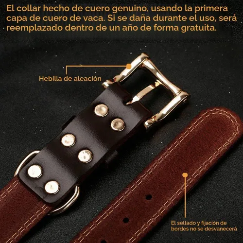 Vista 4 de Collar de cuero auténtico para perro + Juego de etiqueta para perro bulldog con relieve 3D (XS-S)