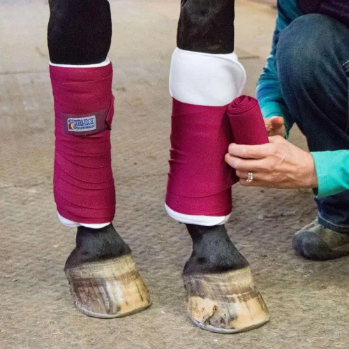 Vista 5 de Dura-Tech Envolturas de pie para caballos Color negro Comodidad y apoyo óptimos Ideal para después del ejercicio y remolque Aplicación