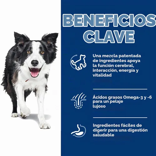 Vista 4 de Hill's Science Diet Alimento seco para perros adultos mayores de 7 años
