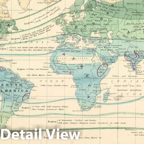 Vista 2 de Mapa histórico: árboles del bosque, plantas y minerales útiles, Atlas 1874 - Arte de pared vintage - 24 x 18 pulgadas