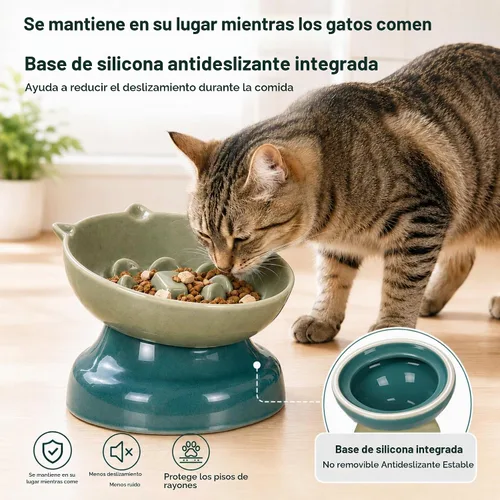 Vista 6 de Cuenco de cerámica para gatos de alimentación lenta Verde