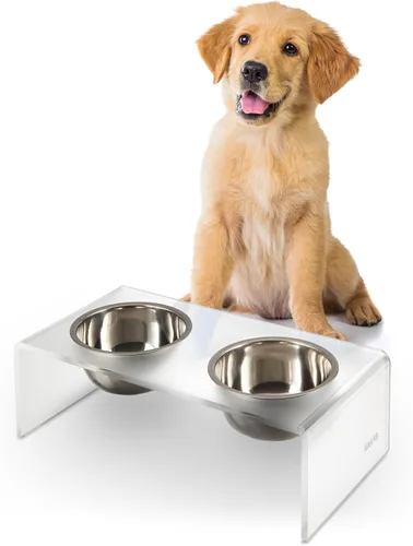 Vista 7 de DBL2000B Keaton - Comedero rectangular elevado moderno de lucita para mascotas de 5 pulgadas, tamaño pequeño/mediano, con 2 cuencos de acero