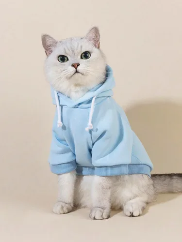 Vista 3 de QWINEE Sudadera básica con capucha para perro, suéter cálido para gatos, ropa para mascotas para Chihuahua, cachorro, gatito, perros pequeños