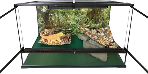 Vista 5 de Fondo de hábitat de reptiles, bosque lluvioso, 15.75 "x 36