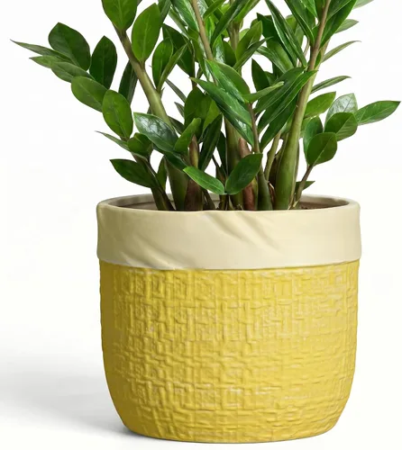Vista 9 de Macetas de cerámica para plantas, maceta de 6 pulgadas para plantas suculentas de interior, macetas redondas con orificio de drenaje, macetas Azul