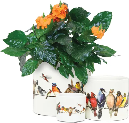 Vista 5 de Abbott Collection 27-PARADE/085 - Maceta LG, 1 EA, pájaros con alambre, grande