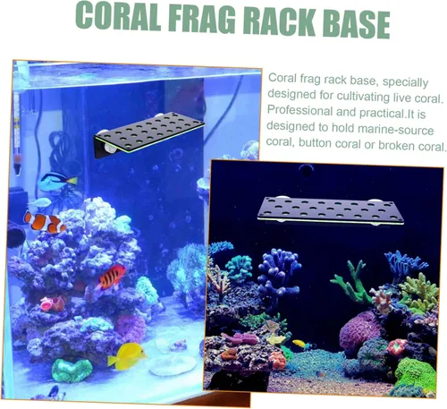 Vista 4 de balacoo Soporte fluorescente para acuario soporte de coral verde soporte de ventosa