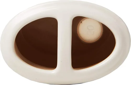 Vista 6 de SKL Home by Saturday Knight Ltd. New Hope - Porta cepillos de dientes, color crema