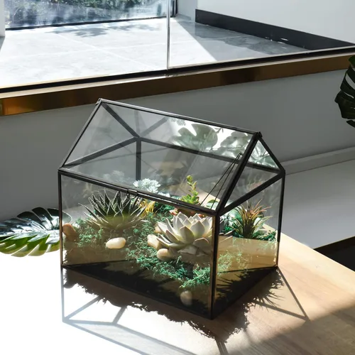 Vista 3 de Black 1 Kit de terrario de planta de vidrio grande con invernadero de labios para suculentas