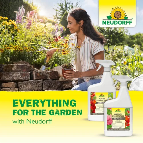 Vista 9 de Neudorff Spray para Plantas de Interior y de Invernadero, Mata Ácaros Araña, Cochinillas y Más de 100 Insectos Listados al Contacto para Jardinería