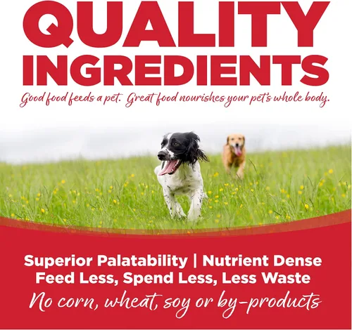 Vista 3 de NutriSource Alimento seco para perros de raza grande, carne de res y arroz, 26 libras Apoyo digestivo probiótico y prebiótico, piel y pelaje