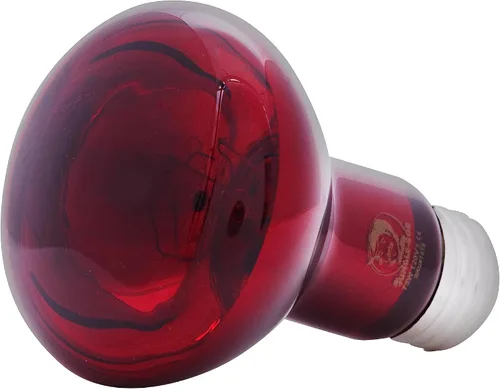 Vista 3 de Jungle Bob - Bombilla de calor rojo vivo - Luz nocturna infrarroja de 75 W para visualización nocturna sin molestias - Fuente de calor segura