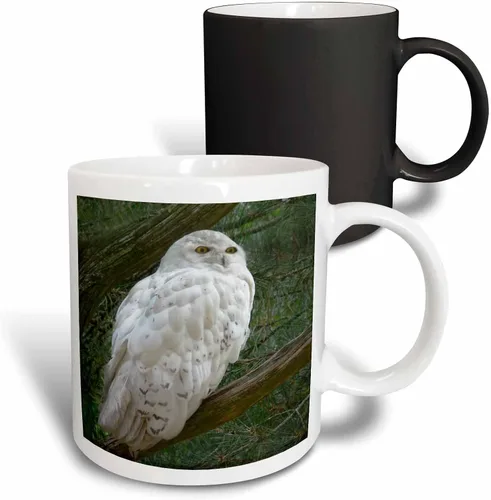 Vista 14 de 3dRose mug_154800_4 - Taza con diseño de búho blanco nieve posado en una rama contra un fondo verde, 11 onzas, color negro