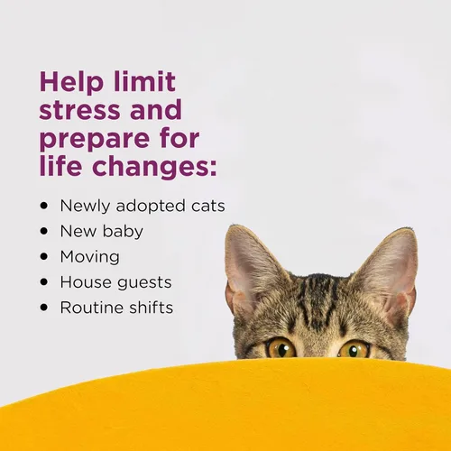 Vista 3 de Comfort Zone Recambio de difusor calmante para gatos, 1 paquete – Los recambios de feromonas calmantes para gatos ayudan a reducir la ansiedad