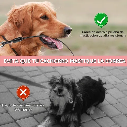 Vista 4 de Correa de perro retráctil de 16 pies mejorada con cable a prueba