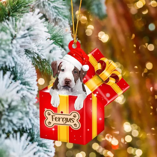 Vista 17 de Adorno de Navidad personalizado de Akita Inu, nombre personalizado Akita Inu para árbol de Navidad, en caja de regalo roja