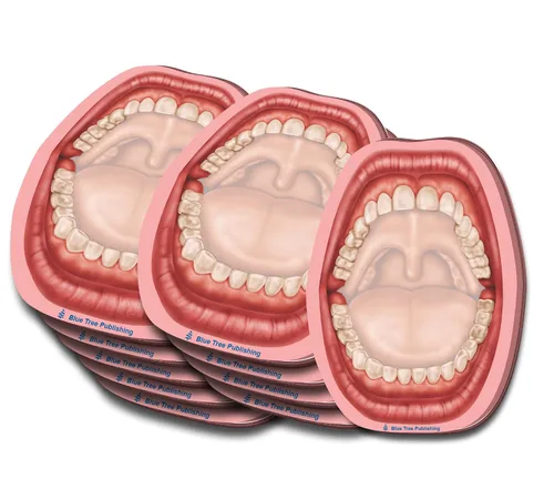 Vista 31 de Notas Adhesivas de Anatomía