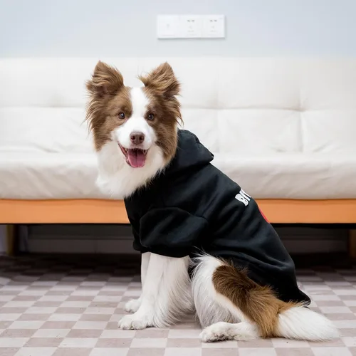 Vista 7 de EXPAWLORER Sudaderas con capucha para perros - Sudadera suave y cálida de otoño e invierno con agujero para correa, ropa de invierno y otoño