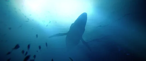 Vista 5 de Under the Waves - PlayStation 4