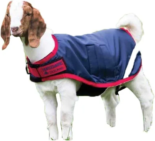 Vista 9 de Horseware Ireland RAHG21-JISK - Abrigo de cabra Excalibur/plateado, XL