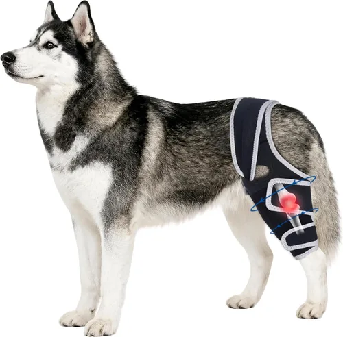 Vista 12 de Dog Knee Brace for Torn Acl Hind Leg, Relieves Ligament Injury and Joint Pain, Adjustable Leg Support Bracket for Warmth and Support, Universal Dog