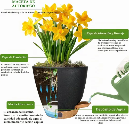 Vista 8 de Paquete de 5 macetas de riego automático de 6 pulgadas para plantas de interior, macetas pequeñas de plástico con indicador de nivel de agua