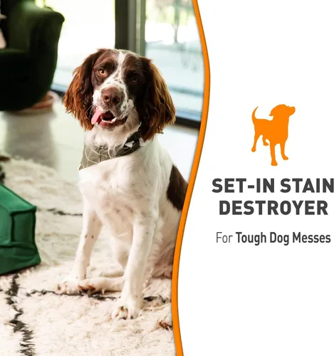 Vista 3 de Nature's Miracle Destructor de manchas para desorden de perros, 24 onzas, fórmula Oxy con aroma a naranja