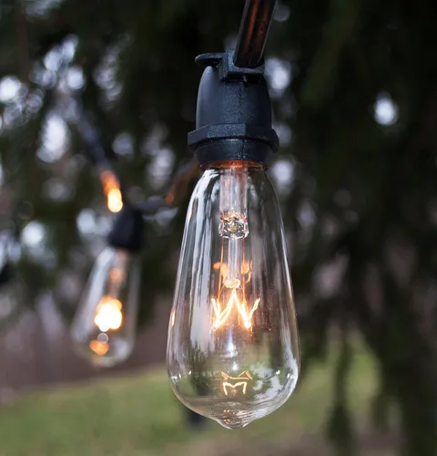 Vista 3 de Hometown Evolution, Inc. Cadena de luces Edison vintage de grado comercial para exteriores (ST40 transparente, cable negro comercial, 25 pies)
