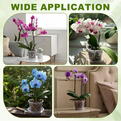 Vista 5 de METALLIXITY Macetas transparentes de orquídeas de 3 pulgadas con agujeros