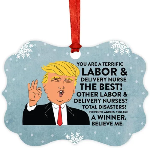 Vista 32 de Andaz Press Presidente Donald Trump Fancy Frame Recuerdo Adorno de Navidad Regalo de broma Ejecutivo de Cuenta, 1 paquete, Divertidas Ideas