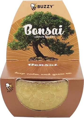 Vista 8 de BUZZY El kit de cultivo de árboles bonsái incluye pino austriaco negro, ciprés de Monterey, abeto azul, abeto noruega con macetas crujientes verdes
