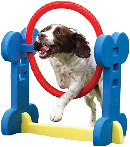 Vista 2 de Agility Slalom – Perro Play & Ejercicio Juguete