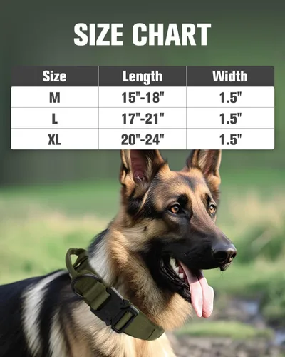 Vista 7 de Joytale Collar táctico para perro con asa, collar militar ajustable y resistente con 2 parches para entrenamiento, adecuado para perros medianos