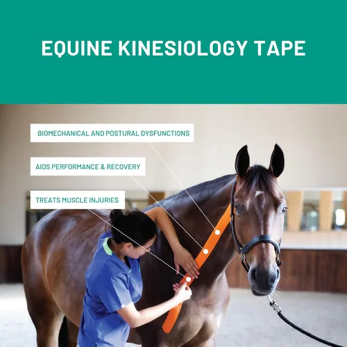 Vista 5 de VETKIN VetkinTape - Cinta de kinesiología canina y equina Cinta médica veterinaria Envoltura veterinaria para apoyo articular y cuidado de Negro