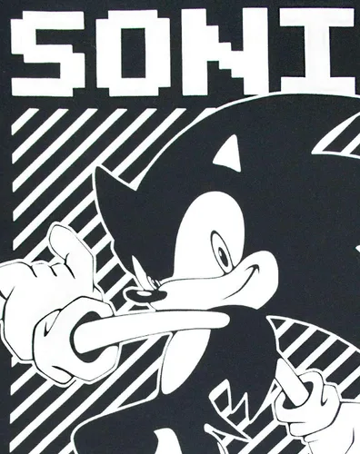 Vista 4 de Sonic The Hedgehog