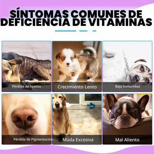 Vista 8 de Gotas multivitamínicas 15 en 1 para perros, gotas multivitamínicas líquidas