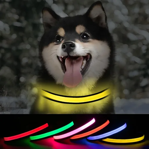 Vista 10 de Collares de perro iluminados recargables, collar de perro que brilla en la oscuridad, impermeable, collares de perro con luces LED intermitentes