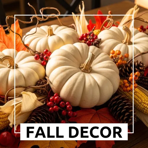 Vista 2 de Semillas de calabaza apiladoras planas blancas para plantar (10 semillas)
