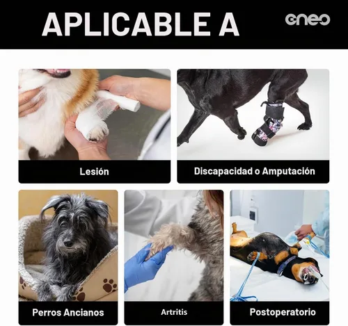 Vista 4 de Arnés de elevación para perros CNEO - Soporte ajustable para perros medianos y grandes, diseño cómodo con patas traseras acolchadas para perros