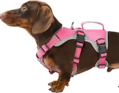 Vista 29 de Huntboo - Arnés para perro a prueba de escape, arnés reflectante con asa, duradero, chaleco ajustable para perros pequeños, medianos y grandes