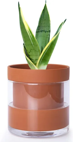 Vista 18 de Phoenix Vine Maceta de riego automático de 4 pulgadas, maceta de arcilla de terracota con depósito de vidrio para plantas de interior, hierbas