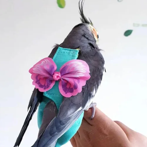 Vista 3 de Arnés de 2 piezas para pañales para pájaros con forro impermeable, ropa para pañales para pájaros con correa voladora, cuerda protectora para loros