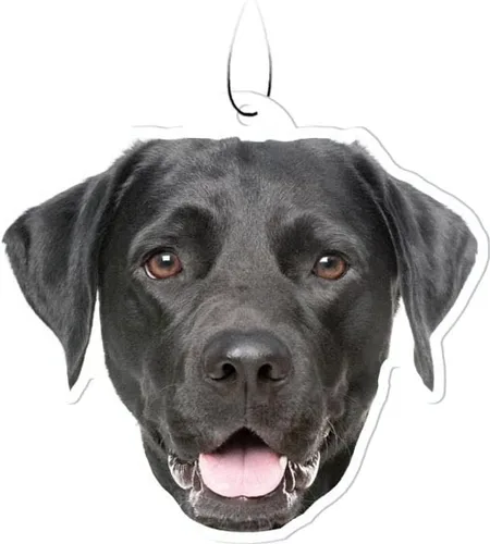 Vista 25 de Spoontiques Beagle Ambientador (3 unidades) – Accesorios y elementos esenciales para el interior del automóvil con temática de perro, desodorante