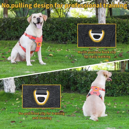 Vista 3 de LIOPARD Arnés para perro, arnés para mascotas fácil de caminar sin tirones, con 2 clips para correa, chaleco reflectante suave acolchado ajustable