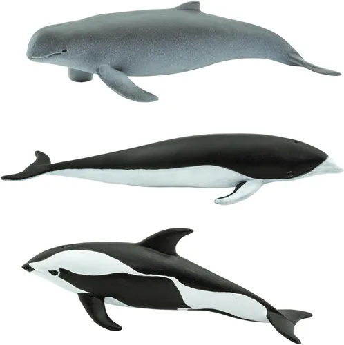 Vista 6 de Safari Ltd. Dolphin TOOB - 10 figuras de delfines en miniatura, juego de juguetes educativos para niños, niñas y niños a partir de 3 años