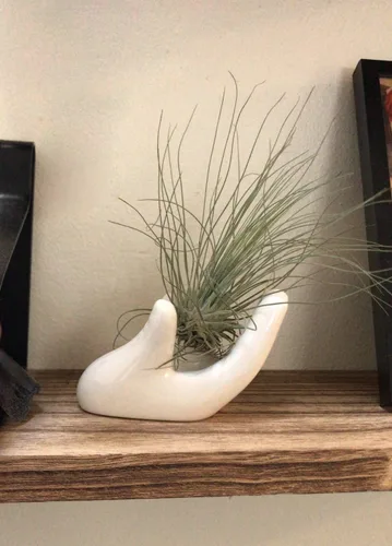 Vista 5 de Dahey Mini soporte para plantas de aire, 1 paquete de soporte de escritorio