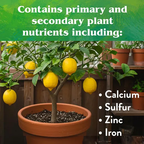 Vista 6 de Down To Earth All Natural Fertilizers Mezcla orgánica de cítricos - Alimento vegetal para limones, limas, naranjas y aguacates 6-3-3, 1 lb