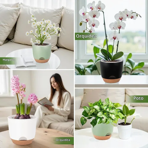 Vista 7 de Macetas de Orquídeas de Riego Automático para Plantas de Interior, 5.8 Pulgadas Macetas para Orquídeas, Macetas de Flores para Plantas