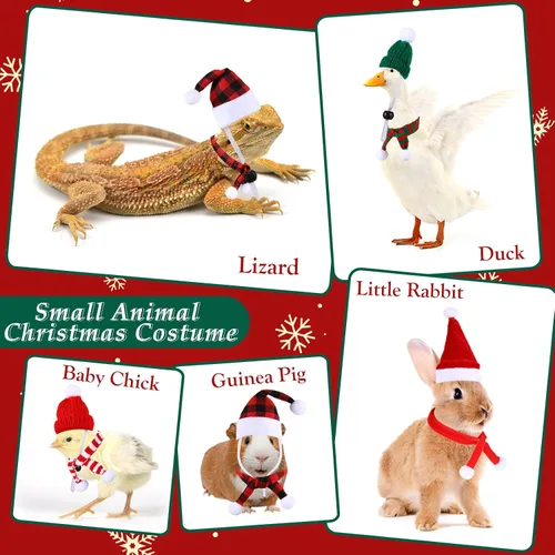 Vista 3 de 12 piezas de disfraces de Navidad de conejillo de indias de Navidad de animales pequeños, disfraz de Navidad, mini sombrero de Papá Noel, bufanda